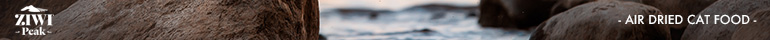 iꗗ